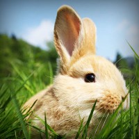 /album/tyna-gruberova/photolia-a03-jpg/