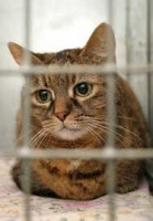 /album/tyna-gruberova/imagescawgakzb-jpg3/